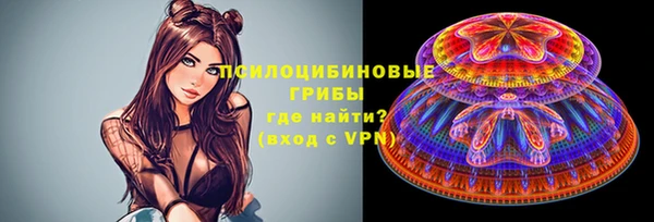 гашик Новодвинск
