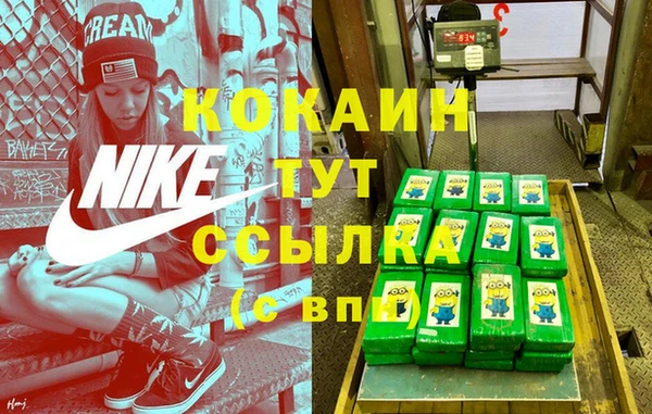 гашик Новодвинск