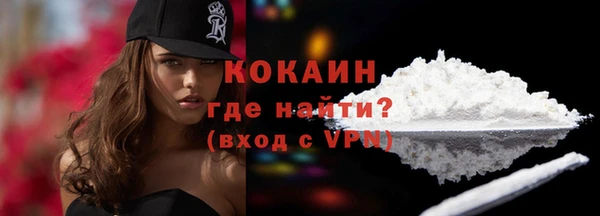 гашик Новодвинск