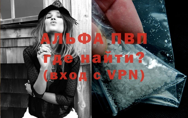 гашик Новодвинск