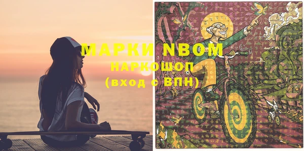 гашик Новодвинск