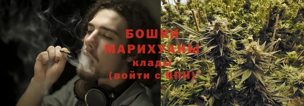 гашик Новодвинск